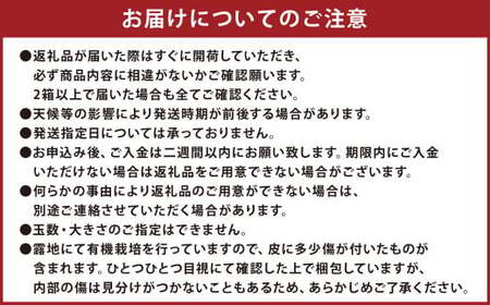 【先行受付】 特別栽培みかん 10kg サイズミックス 温州みかん みかん ミカン 蜜柑 フルーツ 柑橘 果物 果実 熊本県 上天草市【2025年12月下旬から2026年1月下旬発送開始】