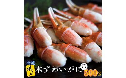 
ボイル 本ずわいがに 爪 500g×1 カジマ ずわい蟹 ズワイガニ ずわいがに かに カニ 蟹 かに爪 カニ爪
