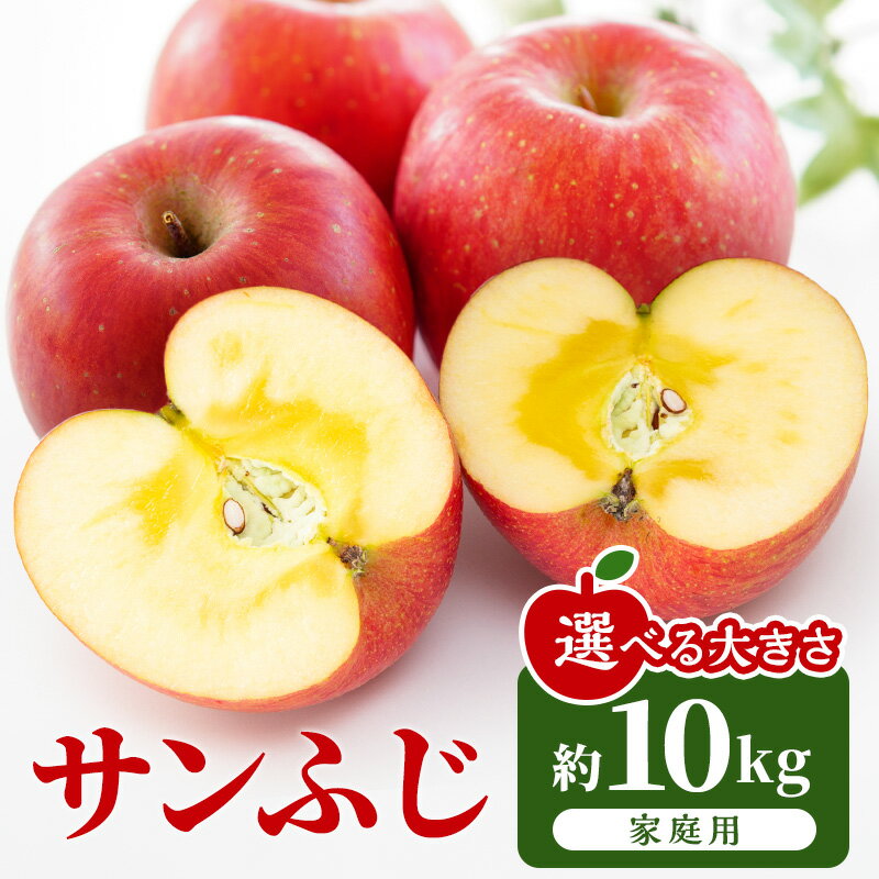【ふるさと納税】【2026年11月下旬～発送予定】先行予約 訳あり りんご サンふじ 家庭用 約10kg 選べる容量 フルーツ 果物 甘い おいしい 林檎 リンゴ　お届け：2026年11月下旬～12月上旬