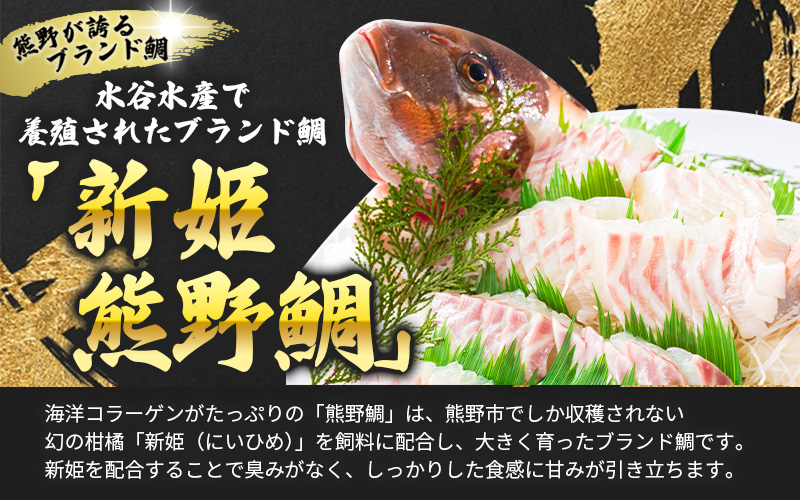 <テレビで紹介されました> 配送日指定可 新姫 熊野鯛 下処理済み 一匹 【冷蔵】 鯛 タイ 刺身 お刺身 さしみ 真空 海鮮 魚介 鮮魚 養殖  寿司 お寿司 塩釜焼き 塩焼き しゃぶしゃぶ 鯛しゃ