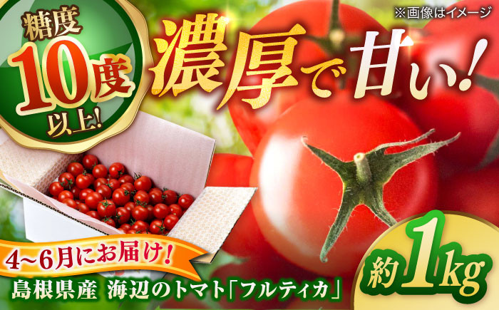 
            【4～6月にお届け！】島根県産 海辺のトマト「フルティカ」バラ 1kg 島根県松江市/株式会社さんちゃんファーム [ALAX001]｜トマト とまと 野菜 やさい フルティカ 国産 夏 トマトソース 糖度 旬 甘い サラダ フルーツトマト
          