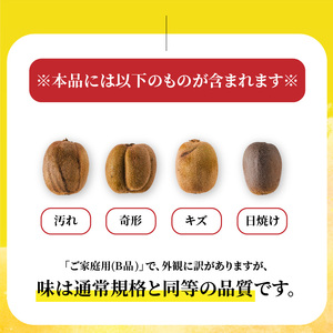 キウイフルーツ ヘイワード 10kg キウイ 【RNK0201】