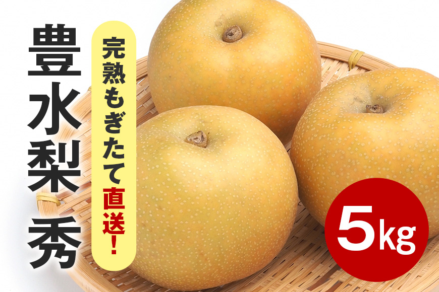 【先行販売/9月上旬から発送】 豊水 梨 秀 5kg 8～14個入 (アカツファーム)  ナシ なし 豊水梨 ギフト 贈答用 秀品 産地 茨城  笠間  完熟 甘い 秋 旬 果物 フルーツ 果汁 新鮮 デザート くだもの ジューシー 秋の味覚 旬の果物 産地直送 茨城県 笠間市