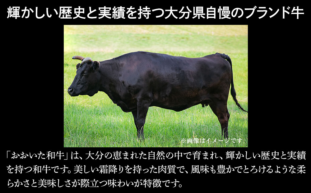 A1.おおいた和牛 スライス肉 400g 和牛 牛肉 すき焼き肉 焼き肉セット 焼肉 大分県ブランド肉 大分県産 九州産 中津市 熨斗対応可