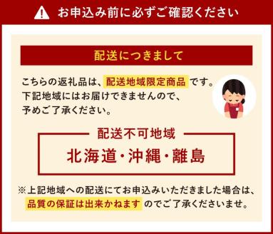【2024年1月より順次発送開始】福岡県産 あまおう 800g以上 いちご 苺