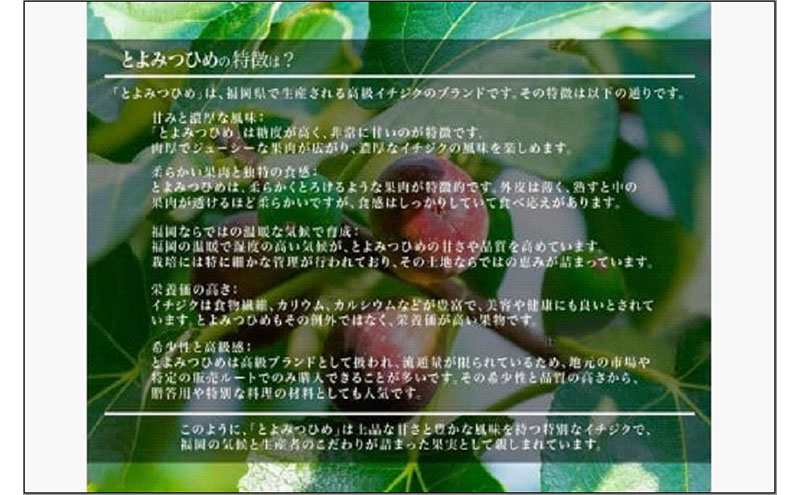＜2026年8月以降発送＞とよみつひめ　4パック約1200gセット（福岡市）　イチジク いちじく 無花果