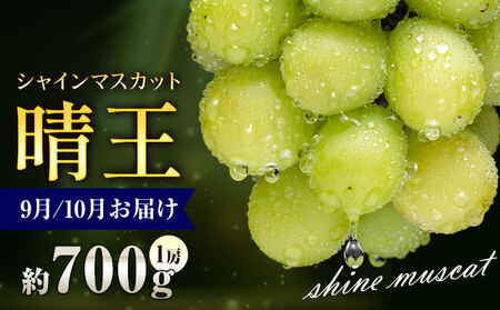 ぶどう シャインマスカット 晴王 700g 1房 彩美菜果《9月上旬-11月中旬頃出荷》 マスカット 送料無料 岡山県 浅口市 フルーツ 果物 贈り物 国産 岡山県産 くだもの 果物 青果物 9月～10月発送 【配送不可地域あり】（北海道・沖縄・離島）
