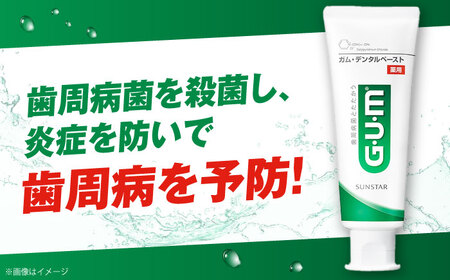 GUM デンタルペースト(ST) 120g×48本 歯磨き 歯みがき ハミガキ 歯周病 虫歯 口臭 大阪府高槻市/サンスター[AOAD011] [AOAD011]