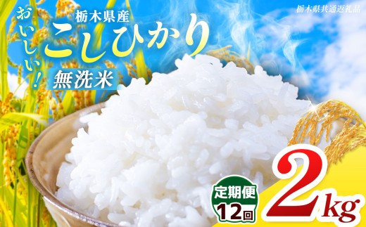 【栃木県共通返礼品】【先行予約】【令和8年度産】【定期12回】 訳あり 栃木県産 コシヒカリ 無洗米 2kg |定期便 選べる ふるさと 納税 コシヒカリ とちぎの星 お米 精米 白米 大粒 小粒 okome kome ご飯 無洗米 栃木県 那珂川町 送料無料