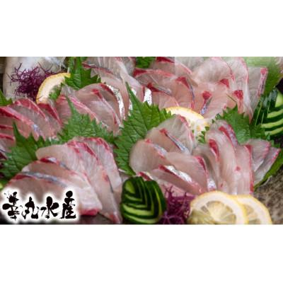 ふるさと納税 須崎市 高級シマアジ 美粕祇万アジ 250g