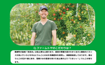 りんご ぐんま名月 家庭用 3kg ファームトヤ 沖縄県への配送不可 2025年11月中旬頃から2025年12月下旬頃まで順次発送予定 令和7年度収穫分 信州 果物 フルーツ リンゴ 林檎 名月 長野