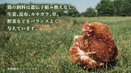 枝さんちのたまご(M～L20個) 産地直送 餌にこだわり 平飼いでのびのび育った卵[BT001sa]