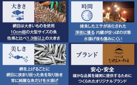 AS-140 天然きびなご漁師漬け･きびなご天日干しｾｯﾄ 日笠山水産 煎茶･ﾈｷﾞ胡麻･海苔付