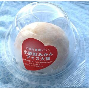 小原紅みかん大福（85g×6個）+小原紅みかんアイス大福（70g×6個）セット｜配送不可地域：北海道・沖縄県・離島｜ふるさと 納税 返礼品 お取り寄せ 取り寄せ グルメ 柑橘 スイーツ お菓子 スィー
