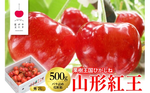 【2027年産】やまがた紅王500g バラ詰め 秀品 2Lサイズ 山形県 東根市 東根農産センター提供 hi027-231-r9 果物 フルーツ くだもの さくらんぼ サクランボ 露地 期間限定 先行受付 令和9年産 産地直送