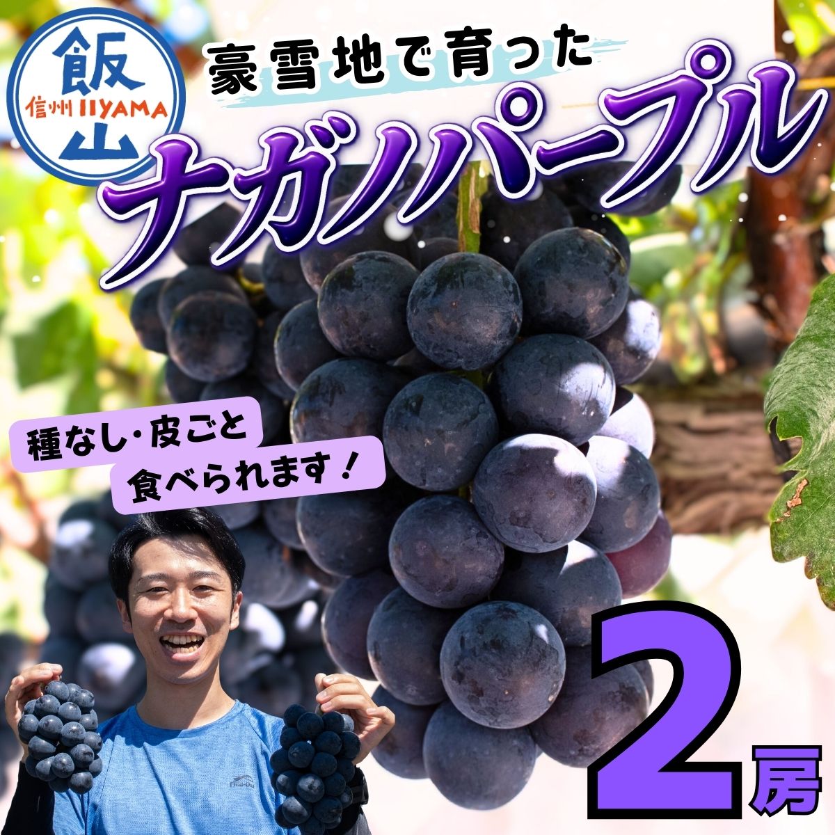 【ふるさと納税】2026年 先行予約 ＼ナガノパープル／ 先行予約 ナガノパープル 2房 約1kg《出荷時期：2026年10月〜》【長野 信州 飯山 ながのぱーぷる ぶどう 葡萄 種なし 皮まで食べれる 果物 フルーツ 農家直送 産地直送 旬 おすすめ 高評価 ギフト 贈答用 】 (Bv-001)