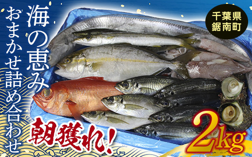 
朝獲れ！海の恵みおまかせ詰め合わせセット 2kg F22X-114
