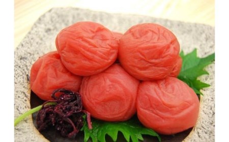 梅干 梅干し 梅 南高梅 紀州南高梅 大容量 しそ シソ / しそ漬梅1kg【kns007】