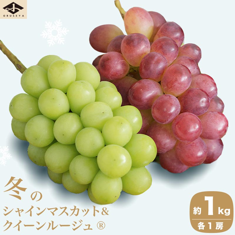 【ふるさと納税】冬のシャインマスカット＆クイーンルージュ® 約1kg 各1房 ［小布施屋］フルーツ 果物 くだもの ぶどう 葡萄 ブドウ クール便 冷蔵 お楽しみ 長野県産 信州産 年内発送 令和8年産 【2026年11月中旬～12月下旬発送】