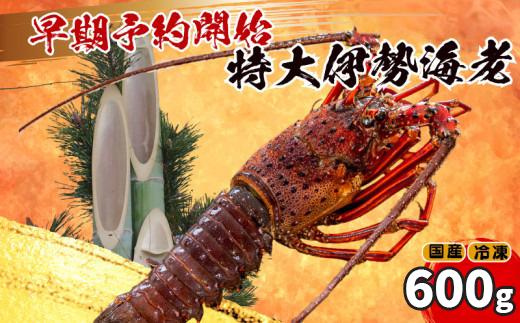 【早期予約】 【12月30日着】 特大 伊勢海老 1匹 600g ～ 以上 冷凍 ( 特大サイズ 急速冷凍 えび エビ 高級 鮮魚 海鮮 魚介 刺身 焼き物 汁物 ギフト 贈答 贈り物 祝い 歳暮 中元 年末 年始 早期 予約 ) IKY067