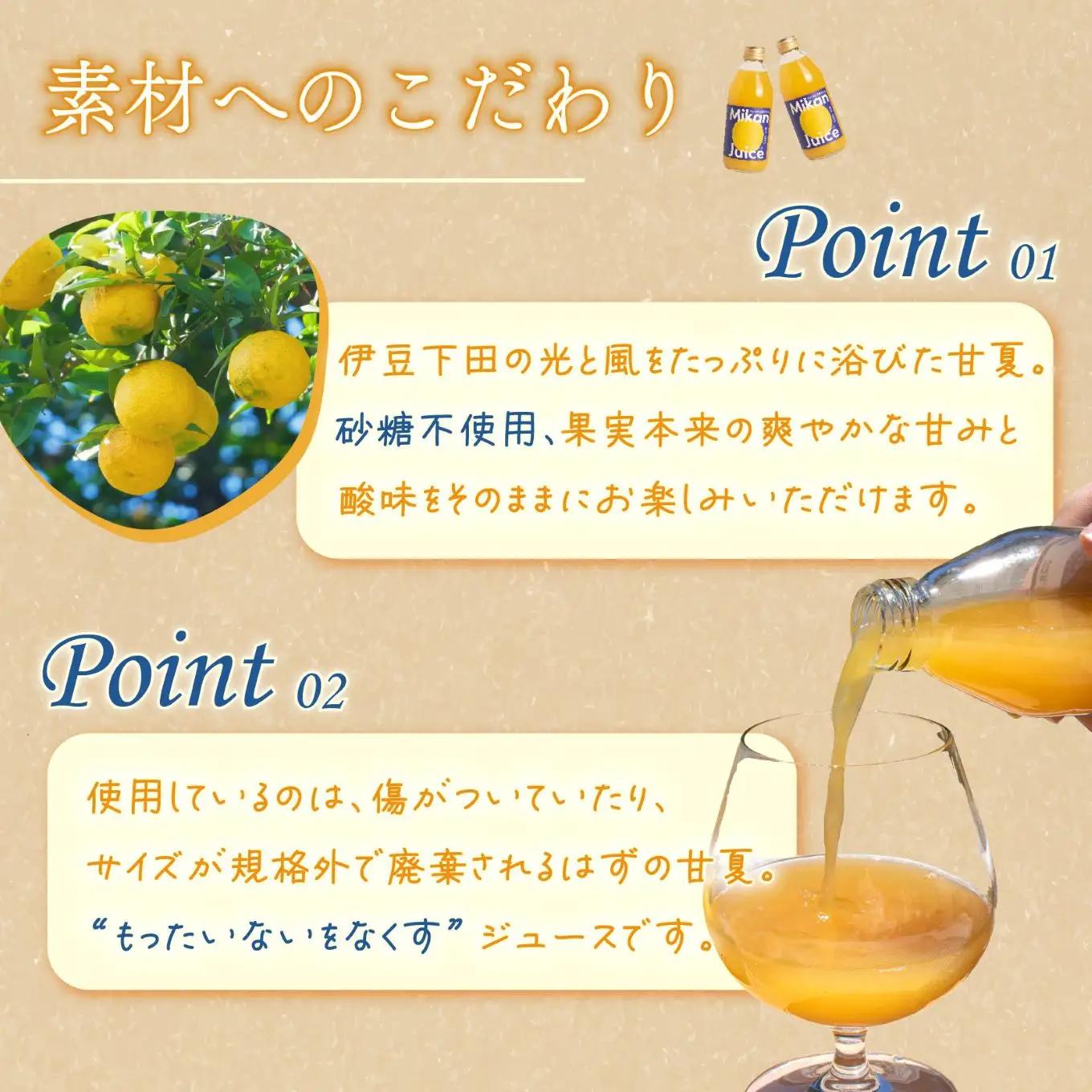 みかん ジュース 甘夏 250ml 6本 果汁100％ 甘夏みかん