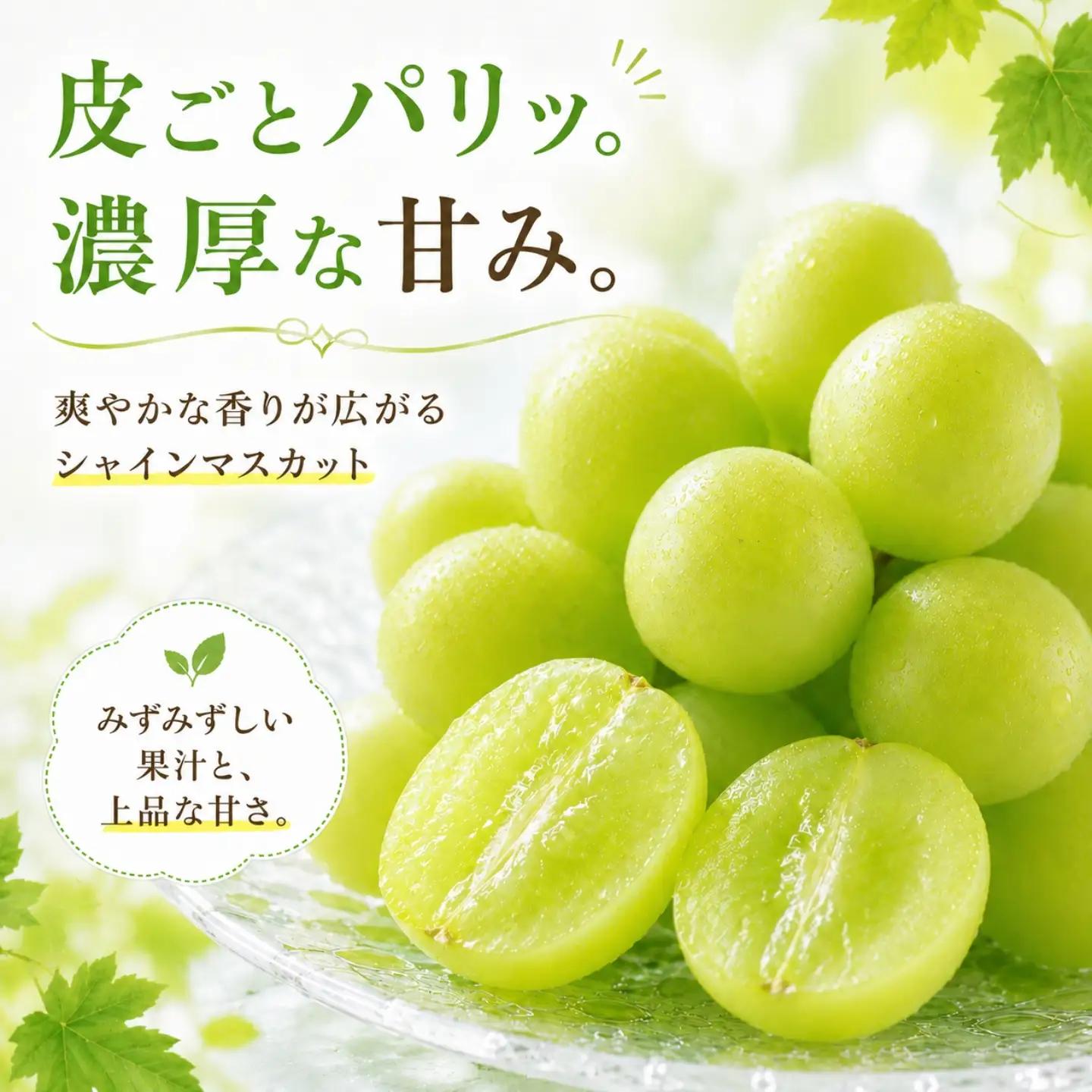 シャインマスカット（約1.5kg）【2026年先行予約】｜シャインマスカット フルーツ 【ふるなび限定】ご家庭用つぶつぶ　FN-Limited-SP