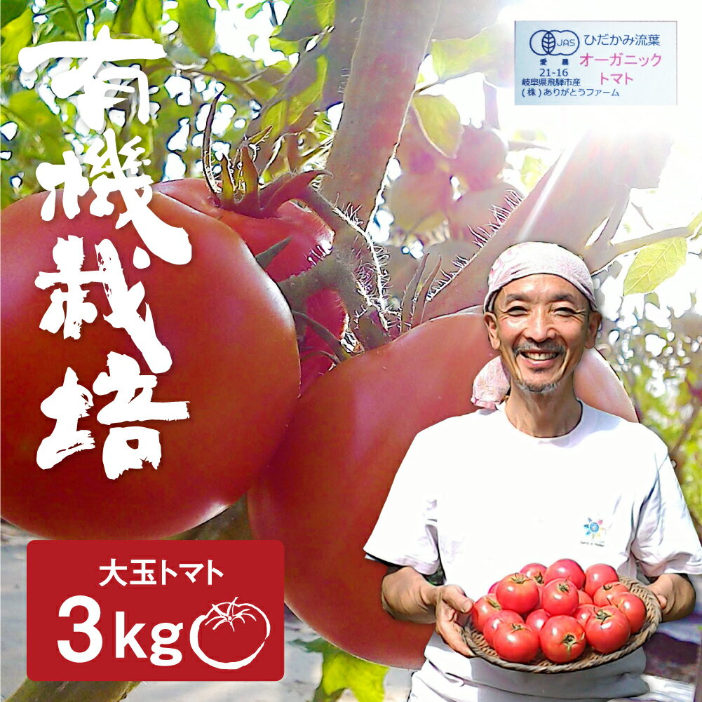【ふるさと納税】【先行予約】《期間・数量限定》コクと旨味の有機大玉トマト 有機JAS認定 3kg とまと 大玉 ありがとうファーム 甘い 特産 国産 野菜 旬 有機野菜 訳アリ 送料無料 [Q634x]10000円 1万円