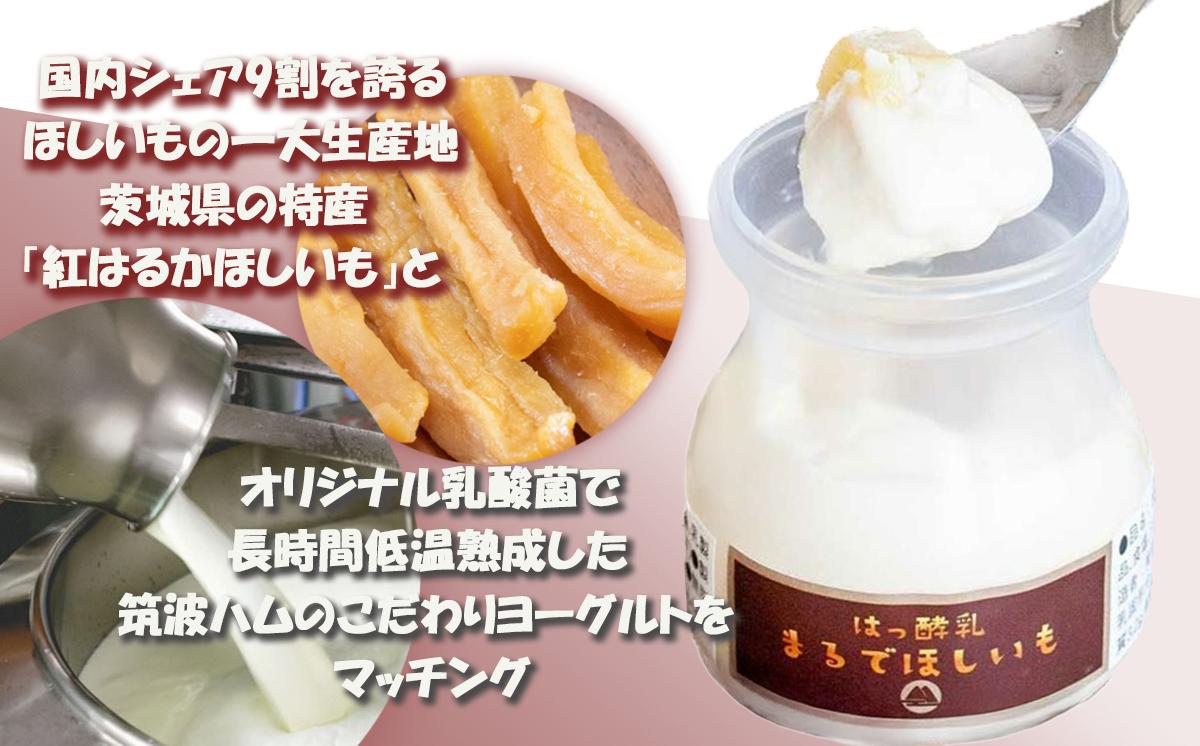 【 筑波ハム 】まるでほしいも × 3個セット2箱【 茨城県 つくば市 ヨーグルト 干し芋 ほしいも ほし芋 紅はるか さつまいも いも 健康 】