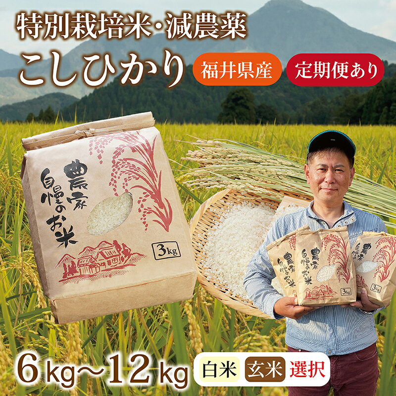 【ふるさと納税】【先行予約】令和8年 福井県産 減農薬米 こしひかり 6～12kg 定期便3～12回（玄米・白米選択可）/ 送料無料 福井県 越前市 米 コシヒカリ 減農薬 2026年度産（18209）