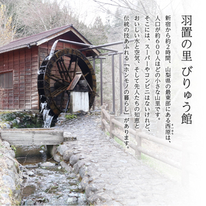 手作り「せんごく味噌」5kg 無添加 味噌