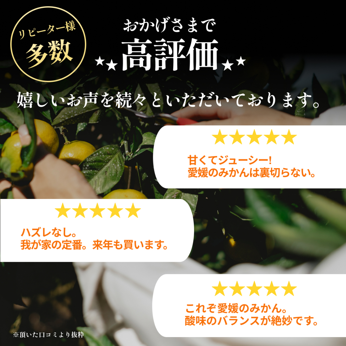 【発送月固定定期便】愛媛の人気高級フルーツ まどんな・甘平・せとか【H70-42】全3回【4055160】 YWTK042