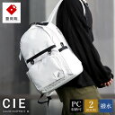 【ふるさと納税】豊岡鞄 CIE WEATHER DAYPACK（071953）グレー / 木和田正昭商店 A4ファイル対応 ノートPC収納 通勤 メンズ レディース リュック バックパック リュックサック