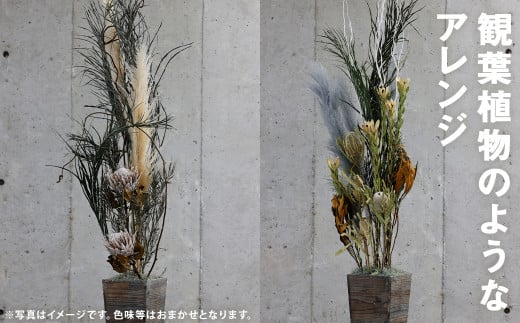 観葉植物のようなアレンジ 1個 ドライフラワー 植物 観葉植物 花 オシャレ インテリア 