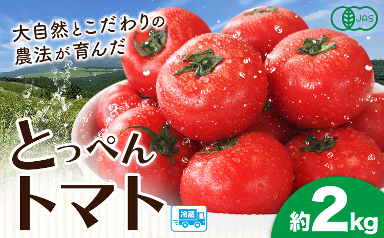 有機JASとっぺんトマト 約2kg《7月上旬-8月下旬頃出荷 》旬 お取り寄せ 詰め合わせ 贈答 ギフト お中元 お歳暮 熊本 阿蘇 産山村 送料無料 トマト 無農薬 有機---ubuyama_swm