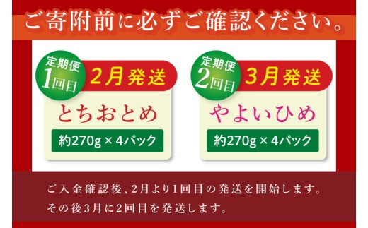 いちご とちおとめ やよいひめ イチゴ 苺 食べ比べ 定期便 JAなめがたしおさい直送 大粒 酸味 甘さ 減農薬 果物 フルーツ 冬 旬 【茨城県共通返礼品/行方市産】【先行予約｜2026年2月より順