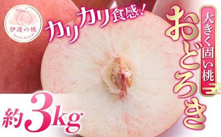 【2026年出荷分先行予約】福島県産 おどろき 約3kg (7～12玉) 農業生産法人種まきうさぎ株式会社 固め 固い 伊達市の桃 桃 フルーツ 果物 もも モモ momo F20C-499