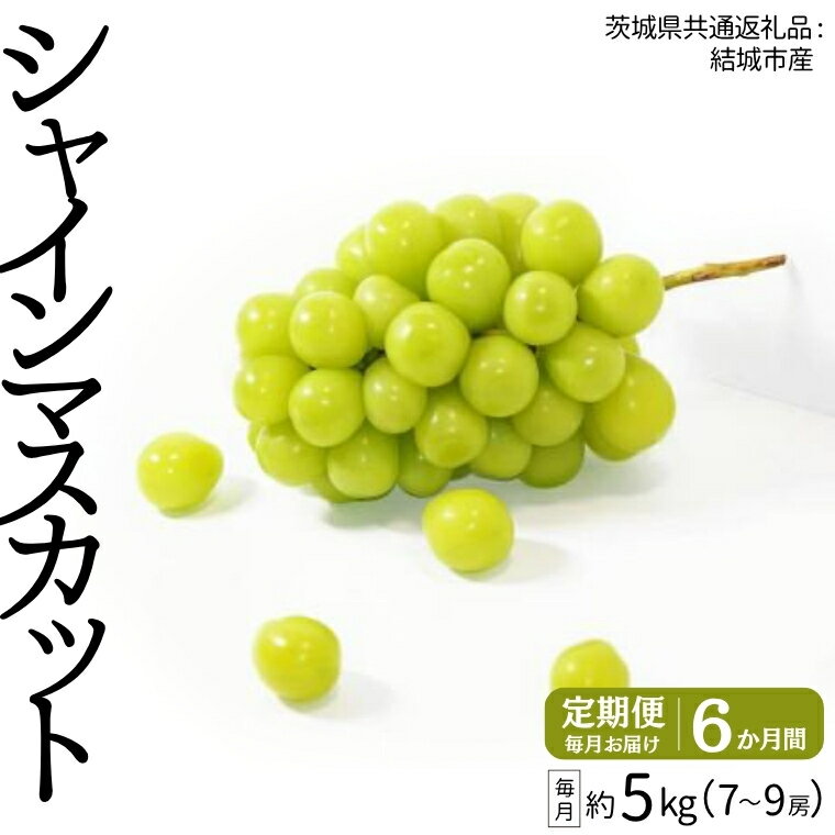 【ふるさと納税】【定期便】 シャインマスカット 7～9房(約5kg) × 6か月連続お届け！ 【2025年8月から発送開始】 （茨城県共通返礼品 [ぶどう]：結城市産） 定期便 毎月 シャインマスカット マスカット ぶどう ブドウ フルーツ 果物