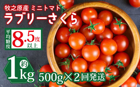 トマト  計1kg ミニトマト