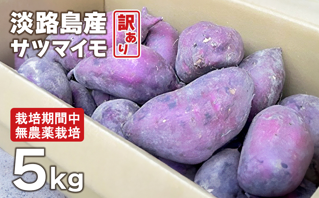 
                  【訳アリ】淡路島産サツマイモ 5kg【栽培期間中、無農薬栽培】焼き芋・スイーツ作りに
                