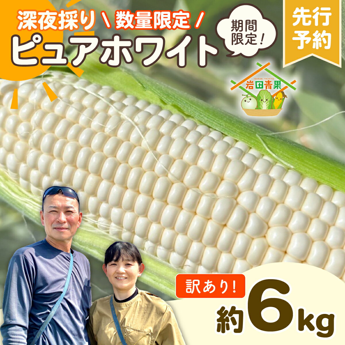【ふるさと納税】【 訳あり 】【 令和8年産 】【先行予約 2026年6月下旬以降発送 】【数量限定】 深夜採り 朝出荷 白い とうもろこし ピュアホワイト 約6kg トウモロコシ 旬 BBQ バーベキュー 夏野菜 甘い 期間限定 ふるさと納税 6000円 2026年発送 2026年先行受付 2026年