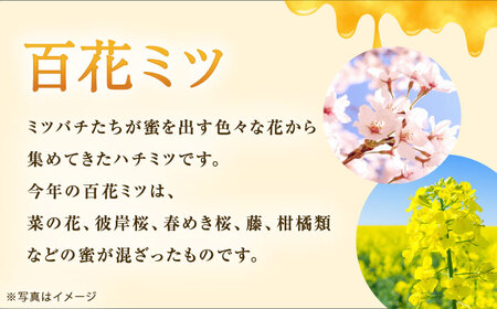 【先行予約】開成町の百花ミツ 140ｇ【合同会社HealthPrime】開成町 蜂蜜 はちみつ ハチミツ 百花[BDAO001]