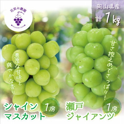 【ふるさと納税】【2026年先行予約】岡山　花笑み農園の『シャインマスカット&瀬戸ジャイアンツ』1kg(2房)GS_ シャインマスカット 瀬戸ジャイアンツ 食べ比べ 1kg 2房 ぶどう フルーツ 送料無料 岡山県 津山市 【配送不可地域：離島・北海道・沖縄県】【1627775】