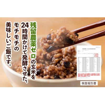 ふるさと納税 つがる市 青森県産玄米 藤農園の美食米 発芽酵素玄米ごはん (10パック 計1250g) [1065] |  | 01