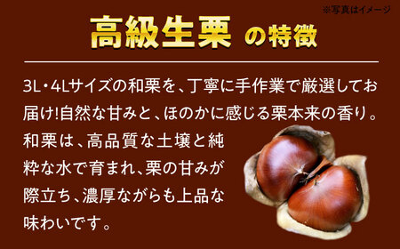 【先行予約】【9月中旬から順次発送】くり あじさい農園の高級生栗（1kg）国産甘栗 甘栗 生栗 くり 和栗 愛媛県大洲市/あじさい農園 [AGAE007] 国産甘栗 甘栗 生栗 くり 和栗 あまぐり 