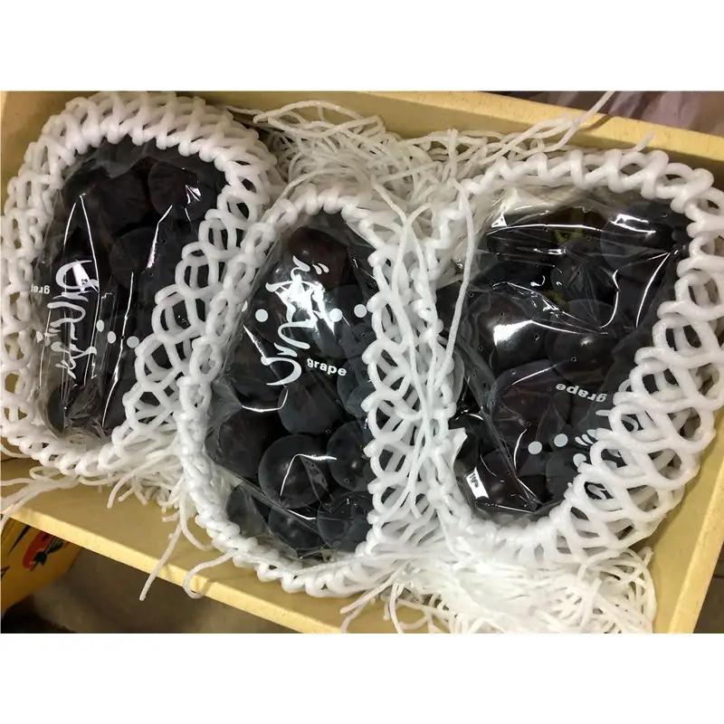【先行予約】黒ぶどう詰め合わせ（1.5kg以上／3～4房）（2026年8月上旬～発送）　ふるさと納税 ぶどう ブドウ 葡萄 セット 詰め合わせ 期間限定 くだもの 果物 先行申込 農家応援 生産者応援