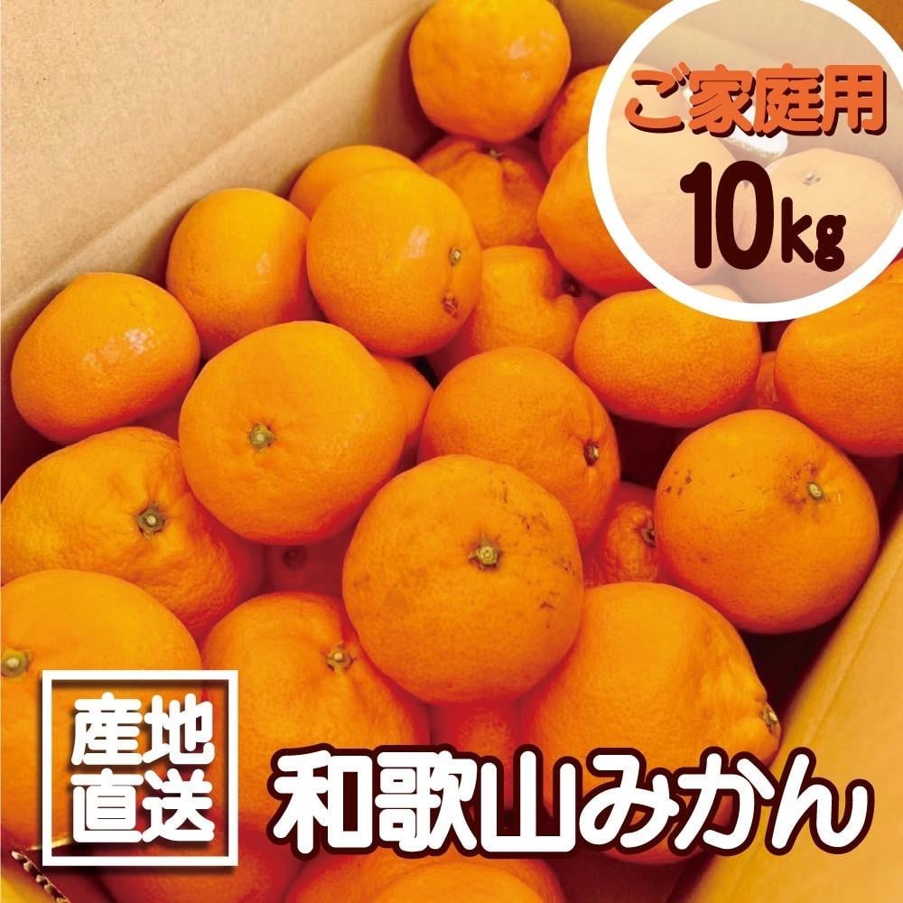 
            【訳あり】和歌山みかん 約9.5kg+補償分約500g サイズ混合 11月より順次発送 訳ありみかん 【red1】
          