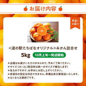 ＜道の駅たちばなオリジナル＞みかん5kg詰合せ 早生みかん 中生みかん 晩生みかん ミカン オレンジ 果物 フルーツ 054-015