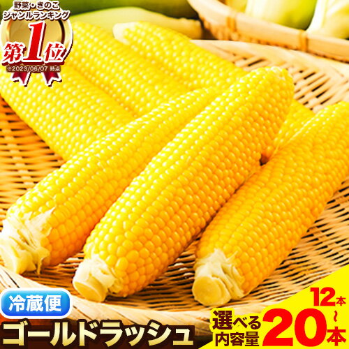 【ふるさと納税】【2026年出荷】朝採りとうもろこし スーパースィート 「ゴールドラッシュ」 選べる ご家庭用 12本 or 特大サイズ 20本(1本380g以上) 《2026年8月上旬-9月上旬頃出荷》嶋崎農園 送料無料 北海道 本別町北海道 十勝 スーパースイート トウモロコシ 冷蔵便