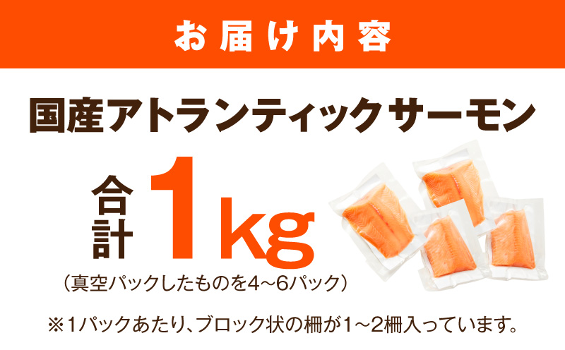 【分けて届く定期便】国産アトランティックサーモン 1kg ポーション【小分け 真空パック 訳あり サイズ不揃い 刺身 海鮮丼 さーもん 鮭 さけ シャケ しゃけ 冷凍 全2回】 099Z616