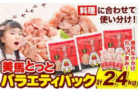 美馬とっと ももむね肉 鶏ハラミ 塩だれ味 2.4kg